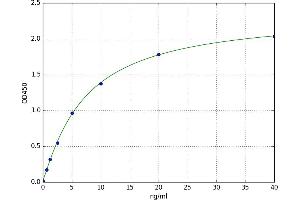 Monocarboxylate Transporter 3 (MCT3) ELISA Kit