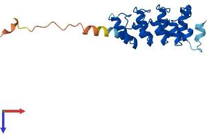 Ankyrin Repeat Domain 39 (ANKRD39) (AA 1-183) protein (His tag)