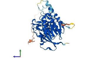 Protein Structure (PS) image for metallophosphoesterase Domain Containing 1 (MPPED1) (AA 1-326) protein (His tag) (ABIN7560146)