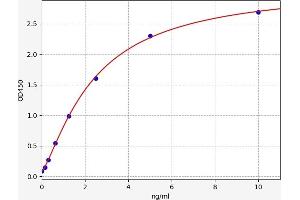 Typical standard curve (SRSF2 ELISA Kit)