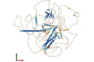 AlphaFold protein structure predicition of Mouse Recombinant Srcin1 Protein, UniprotID Q9QWI6