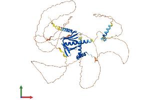 AlphaFold protein structure predicition of Mouse Recombinant Dcp1a Protein, UniprotID Q91YD3 (DCP1A Protein (AA 1-602) (His tag))
