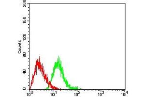 Flow cytometric analysis of HL-60 cells using CD289 mouse mAb (green) and negative control (red). (TLR9 antibody  (AA 26-193))