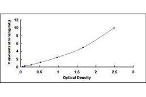 Ectodysplasin A2 Receptor (EDA2R) ELISA Kit