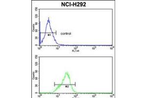 Flow cytometric analysis of NCI-H292 cells (bottom histogram) compared to a negative control cell (top histogram). (SRSF5 antibody  (AA 70-97))