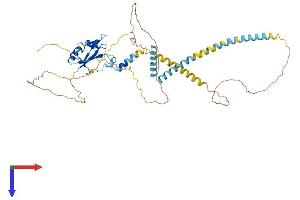 AlphaFold protein structure predicition of Human Recombinant UPF3A Protein, UniprotID Q9H1J1 (UPF3A Protein (AA 1-476) (His tag))