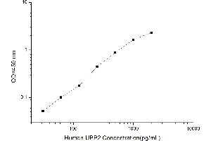 Typical standard curve (UPP2 ELISA Kit)