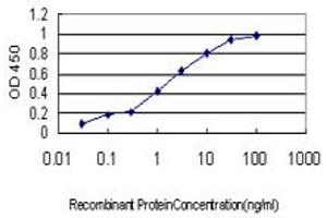 Detection limit for recombinant GST tagged MPHOSPH6 is approximately 0. (MPHOSPH6 antibody  (AA 1-160))