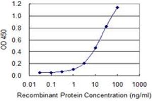 Detection limit for recombinant GST tagged USO1 is 0. (USO1 antibody  (AA 1-961))