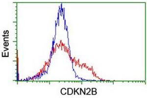 Image no. 4 for anti-Cyclin-Dependent Kinase Inhibitor 2B (p15, Inhibits CDK4) (CDKN2B) antibody (ABIN1497445) (CDKN2B antibody)