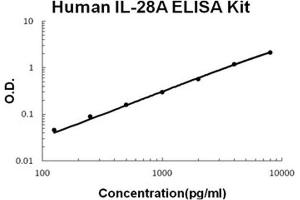 Human IL-28A PicoKine ELISA Kit standard curve