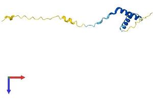 AlphaFold protein structure predicition of Human Recombinant ERVK-21 Protein, UniprotID P61571 (ERVK-21 Protein (AA 1-104) (His tag))