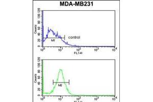 Flow cytometry analysis of MDA-MB231 cells (bottom histogram) compared to a negative control cell (top histogram).