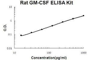 Rat GM-CSF PicoKine ELISA Kit standard curve (GM-CSF ELISA Kit)