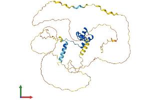 AlphaFold protein structure predicition of Human Recombinant ALX4 Protein, UniprotID Q9H161