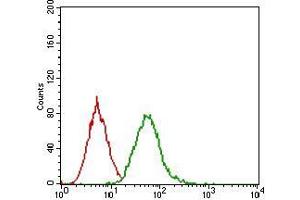 Flow Cytometry (FACS) image for anti-Epidermal Growth Factor Receptor (EGFR) (AA 693-893) antibody (ABIN1724889)