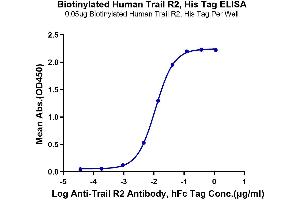 ELISA image for Tumor Necrosis Factor Receptor Superfamily, Member 10b (TNFRSF10B) (AA 56-182) protein (His-Avi Tag,Biotin) (ABIN7275780)