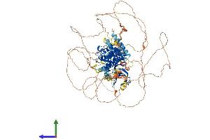AlphaFold protein structure predicition of Human Recombinant ULK1 Protein, UniprotID O75385