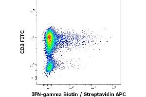 Flow cytometry multicolor intracellular staining pattern of human lymphocytes (PHA stimulated and Brefeldin A + Monesin treated) stained using anti-human IFN-gamma (4S. (Interferon gamma antibody  (Biotin))