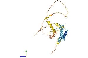 AlphaFold protein structure predicition of Human Recombinant CCDC28A Protein, UniprotID Q8IWP9 (CCDC28A Protein (AA 1-274) (His tag))
