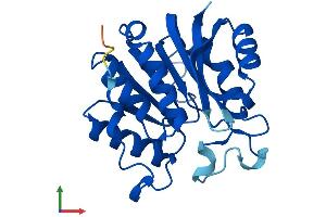 AlphaFold protein structure predicition of Human Recombinant N6AMT1 Protein, UniprotID Q9Y5N5 (N6AMT1 Protein (AA 1-214) (His tag))