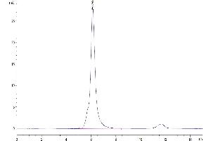 The purity of Human VEGF R2 is greater than 95 % as determined by SEC-HPLC. (VEGFR2/CD309 Protein (AA 20-764) (mFc Tag))