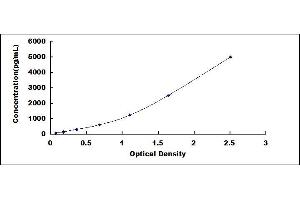 Typical standard curve (ENPP2 ELISA Kit)