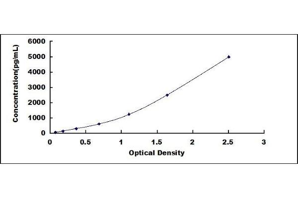 ENPP2 ELISA Kit