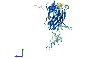 AlphaFold protein structure predicition of Mouse Recombinant Trappc13 Protein, UniprotID Q3TIR1 (TRAPPC13 Protein (AA 1-417) (His tag))
