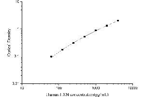 Frataxin (FXN) ELISA Kit