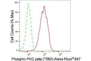 Flow cytometric analysis of Phospho-PKC zeta (T560) expression in HepG2 cells using Phospho-PKC zeta (T560) antibody (ABIN7800001), 1:2,000).