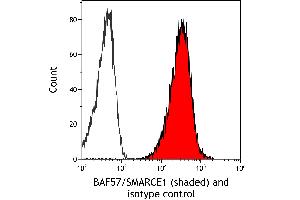 Flow Cytometry (FACS) image for anti-SWI/SNF Related, Matrix Associated, Actin Dependent Regulator of Chromatin, Subfamily E, Member 1 (SMARCE1) (C-Term) antibody (ABIN7795730)