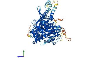 AlphaFold protein structure predicition of Mouse Recombinant Stxbp3 Protein, UniprotID Q60770