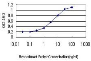 Detection limit for recombinant GST tagged DMRT1 is approximately 0. (DMRT1 antibody  (AA 1-373))