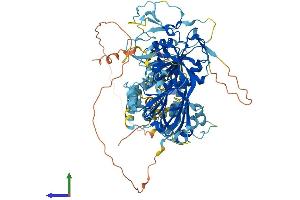 AlphaFold protein structure predicition of Human Recombinant DGKG Protein, UniprotID P49619