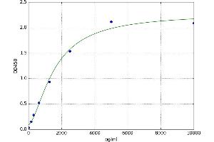 Heat Shock 70kDa Protein 4 (HSPA4) ELISA Kit