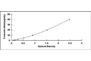 Typical standard curve (DPP4 ELISA Kit)