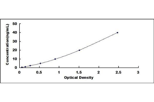 DPP4 ELISA Kit