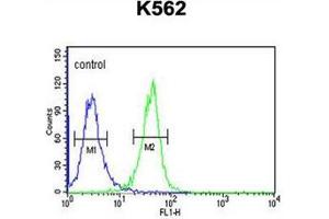 Flow cytometric analysis of K562 cells using DNAJC6 Antibody  (right histogram) compared to a negative control cell (left histogram). (DNAJC6 antibody  (Middle Region))