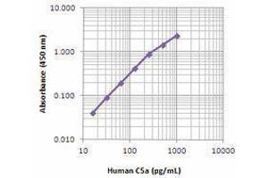 ELISA image for anti-Complement Component 5 (C5) antibody (Biotin) (ABIN2660802) (C5 antibody  (Biotin))