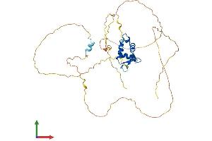 Protein Structure (PS) image for Forkhead Box Q1 (FOXQ1) (AA 1-400) protein (His tag) (ABIN7562520)