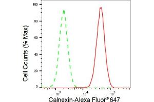 Flow cytometric analysis of Calnexin expression in HAP-1 cells using Calnexin antibody (ABIN7797845), 1:2,000).