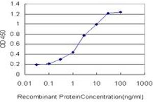 Detection limit for recombinant GST tagged CENPJ is approximately 0. (CENPJ antibody  (AA 979-1088))