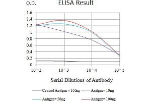 Black line: Control Antigen (100 ng),Purple line: Antigen (10 ng), Blue line: Antigen (50 ng), Red line:Antigen (100 ng) (LRP6 antibody  (AA 1198-1370))