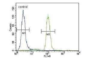 PIK3CA Antibody (C-term) (ABIN1882113 and ABIN2842103) flow cytometric analysis of Hela cells (right histogram) compared to a negative control cell (left histogram). (PIK3CA antibody  (C-Term))