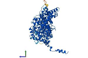 Protein Structure (PS) image for Acyl-CoA Oxidase 1, Palmitoyl (ACOX1) (AA 1-661) protein (His tag) (ABIN7556185)