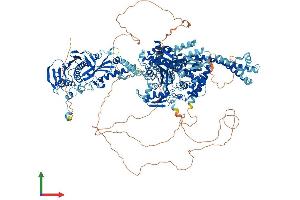 AlphaFold protein structure predicition of Human Recombinant TOP2A Protein, UniprotID P11388 (Topoisomerase II alpha Protein (AA 1-1531) (His tag))