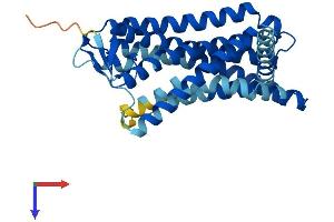 Olfactory Receptor, Family 2, Subfamily T, Member 12 (OR2T12) (AA 1-320) protein (His tag)