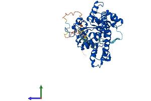 AlphaFold protein structure predicition of Human Recombinant GAL3ST1 Protein, UniprotID Q99999 (GAL3ST1 Protein (AA 1-423) (His tag))