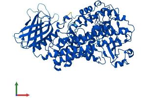 Protein Structure (PS) image for Arachidonate 5-Lipoxygenase (ALOX5) (AA 1-674) protein (His tag) (ABIN7563330)